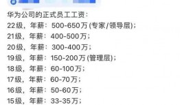 华为薪资爆料最新消息,揭秘员工薪酬待遇大揭秘